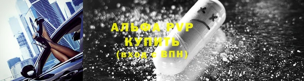 молекула духа Балахна