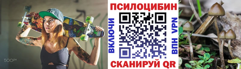 Псилоцибиновые грибы GOLDEN TEACHER  Верхний Уфалей 